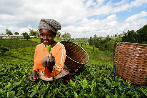 L'Afrique, terre d'opportunités d'investissement